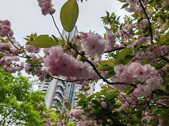 -大拙里·精致融合菜(沙湖桃源国际店)
