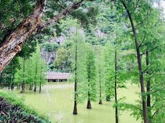 -星湖旅游景区七星岩