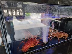 -真浪花园海鲜餐馆