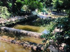 -成都市活水公园