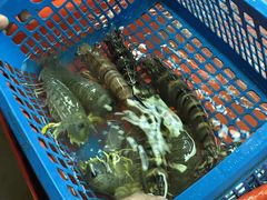 -班赞海鲜市场