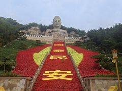 -蒙山大佛景区