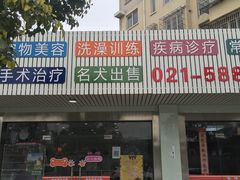 -暖阳宠物医院·犬猫康复中心·骨科