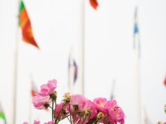 -南京国际青年文化中心