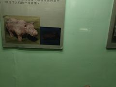 -古陶文明博物馆