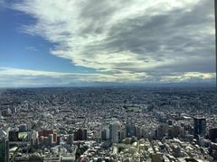 -台场海滨公园船码头