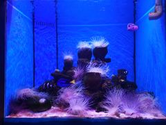 -多彩贵州城极地海洋世界