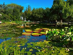 -国家植物园南园