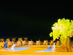 -鼎盛王朝康熙大典实景演出