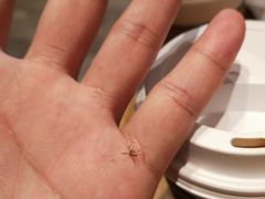 -星巴克(深圳梅林虹湾店)
