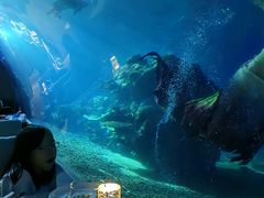 -涛·海底餐厅·美人鱼·自助餐·海底隧道(三亚海棠湾洲际度假酒店)