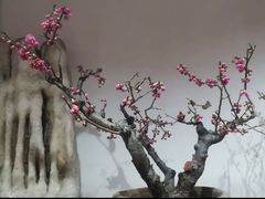 -石家庄市植物园
