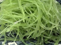 -三俞竹苑(卓展店)