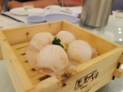 圣丰虾饺皇-圣丰城酒家·宴会(宝安大仟里店)
