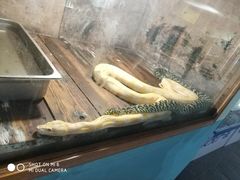 -廊坊市自然公园