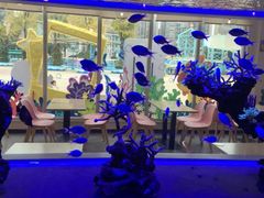 -海合安成都极地海洋公园