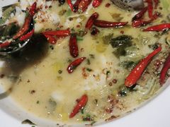 -首秀·四川料理(星耀101店)