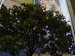 -西点坊(浦东香格里拉店)