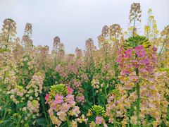 -中国天府农业博览园