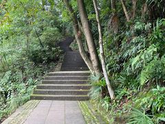-凤栖山
