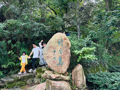 -江心屿景区