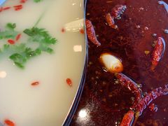 麻辣锅底-芳竹园火锅(塘沽金街店)
