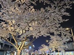 -杭州湖滨in77