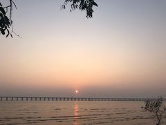 -宝安西湾红树林湿地公园