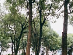 -重庆市江北嘴中央商务区中央公园