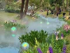 -人民公园(罗湖区)