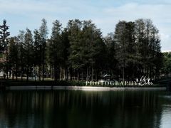 -四海公园(南山区)