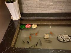 -麦舍MaiMassage(张杨路店)