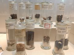 -广东中医药博物馆