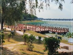-丁香湖公园
