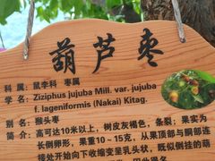 -何适山庄 ·可团建(水长城P2停车场店)