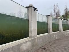 -眉山湿地公园(东坡区)