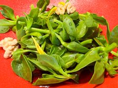 -绿杨春·淮扬宴(庐山路店)