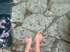 -湖泉半山温泉(湖泉生态园)