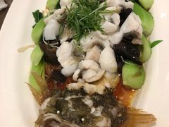 -张生记(丁香国际店)