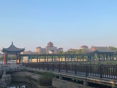 -莲花池公园