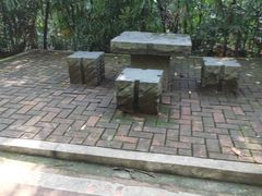 -东莞市大岭山森林公园