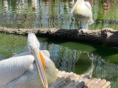 -济南野生动物世界