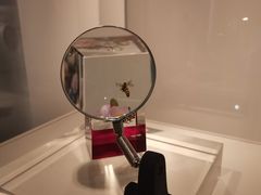 -上海琉璃艺术博物馆