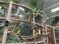 -南宫五洲植物乐园