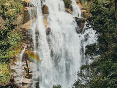 -海南热带雨林国家公园吊罗山景区