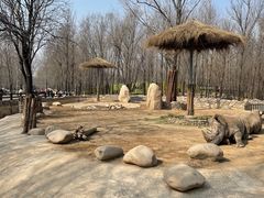 -北京野生动物园