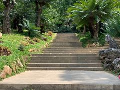 -深圳仙湖植物园