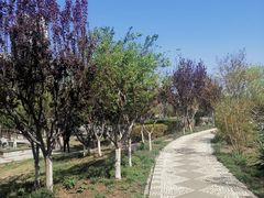 -绿岛公园(滨海新区)