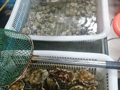 -兆辉木炭海鲜烧烤·海鲜小炒