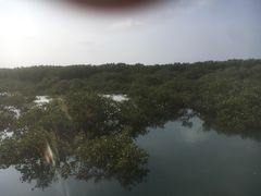 -北海金海湾红树林生态旅游区